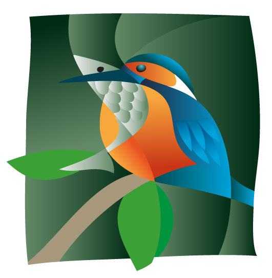 Illustration von einem bunten Vogel